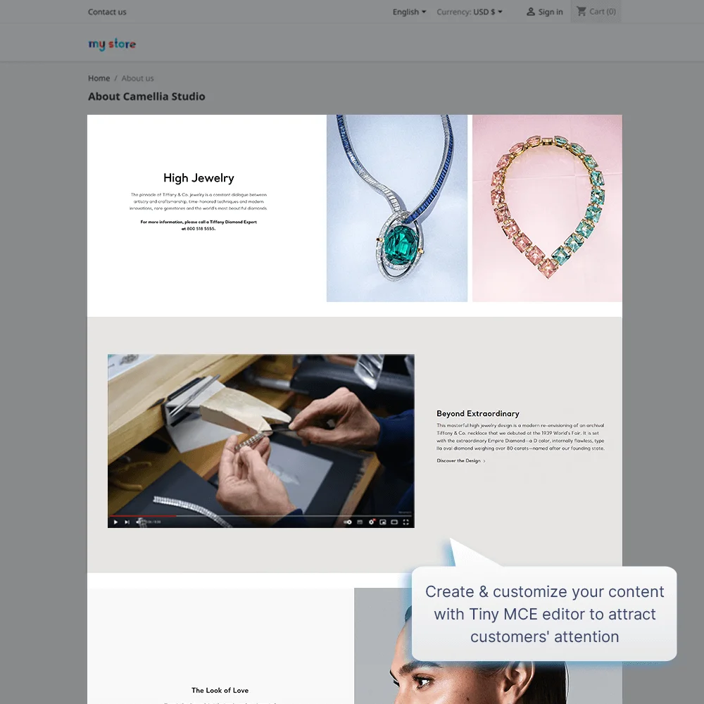 Introduce PrestaShop TinyMCE module