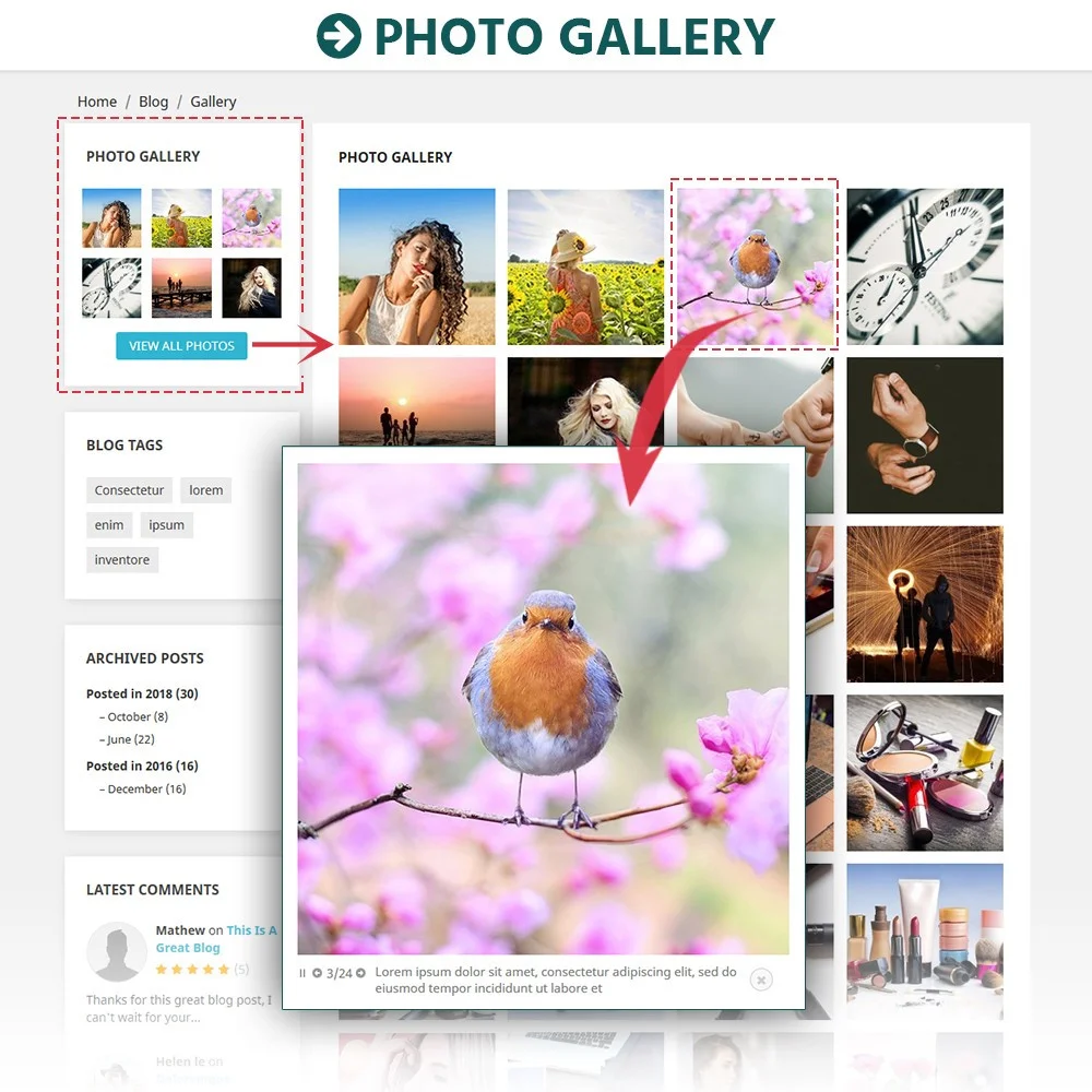 Introducing BLOG – All in 1 Prestashop blog module