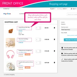 Shopping cart page on the frontend