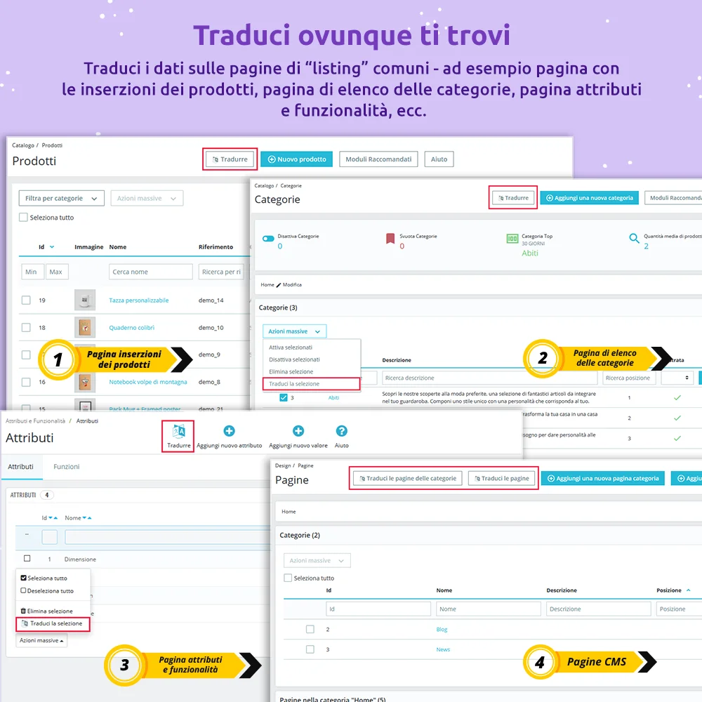 Traduci dati su tutte le pagine di elenco comuni
