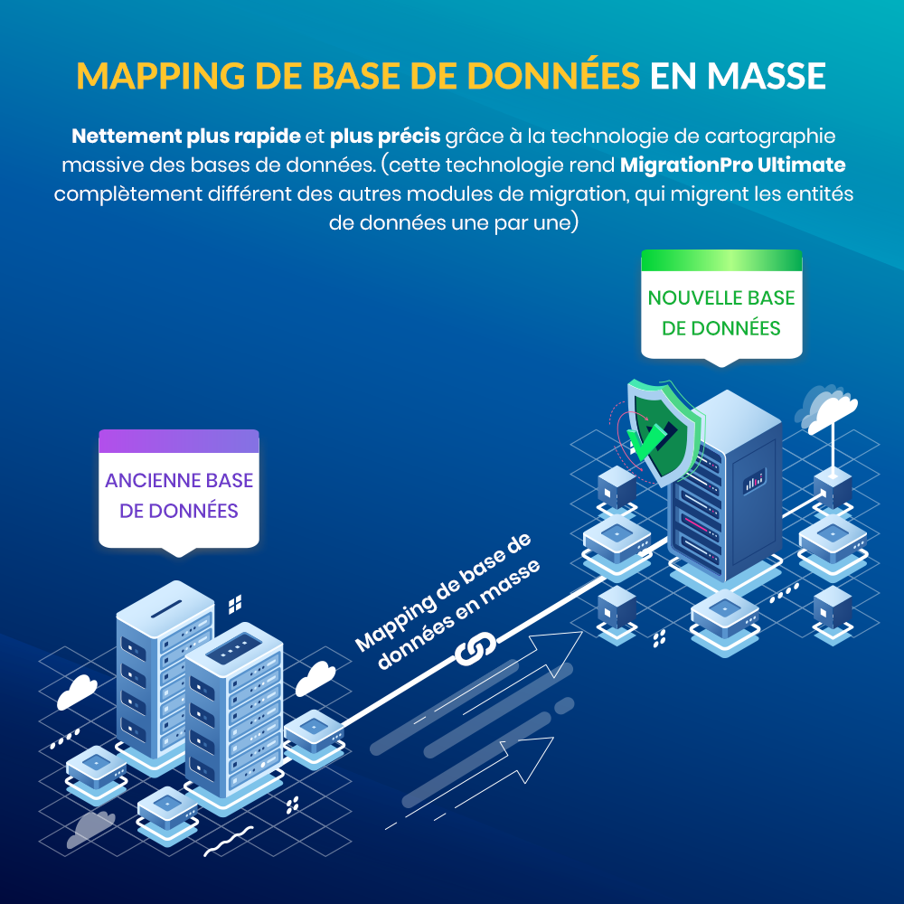 Cartographie massive de bases de données