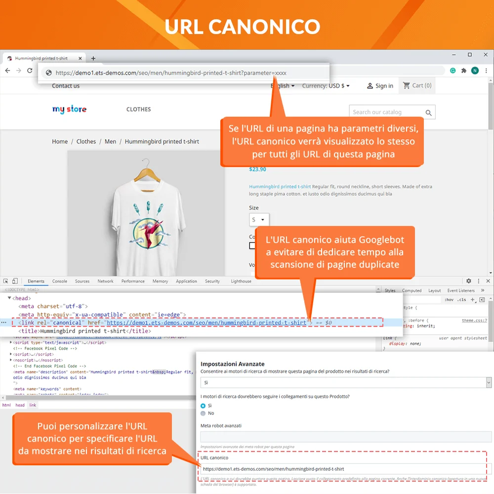 URL canonica