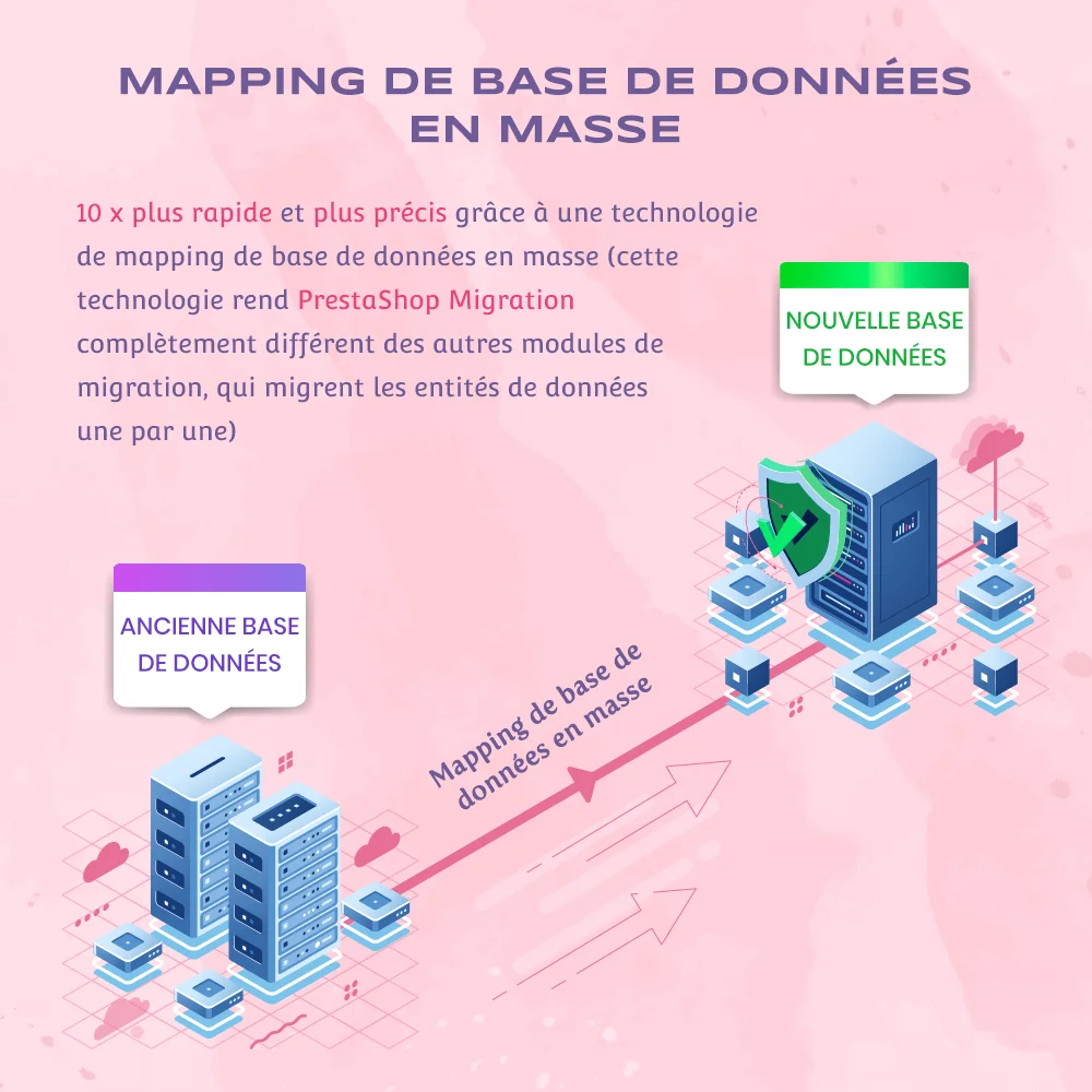 Cartographie massive de la base de données