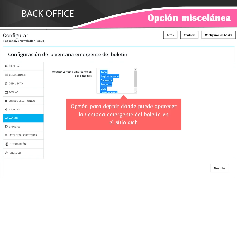 Opciones para definir dónde puede aparecer el popup de boletín en el sitio web