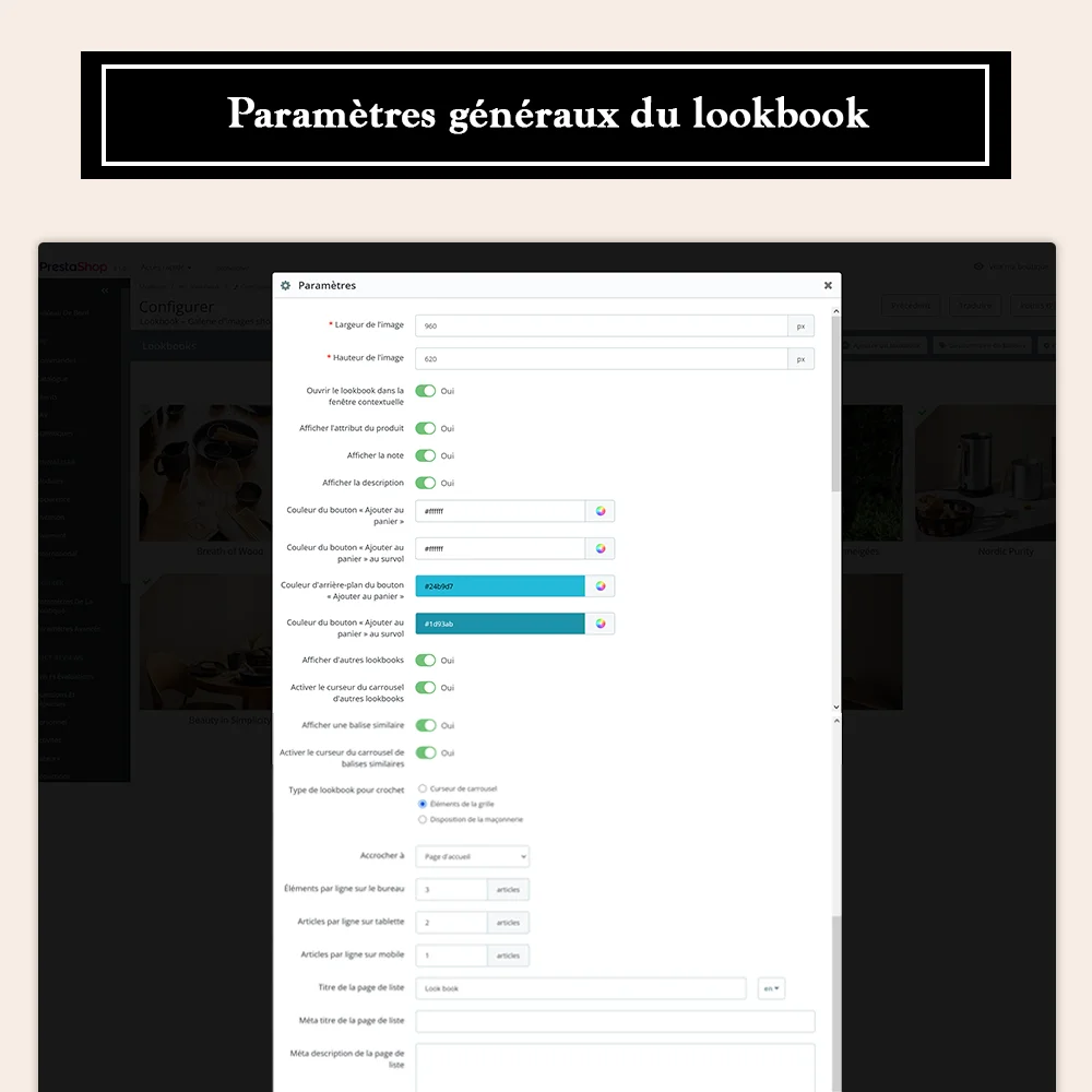 General lookbook settings