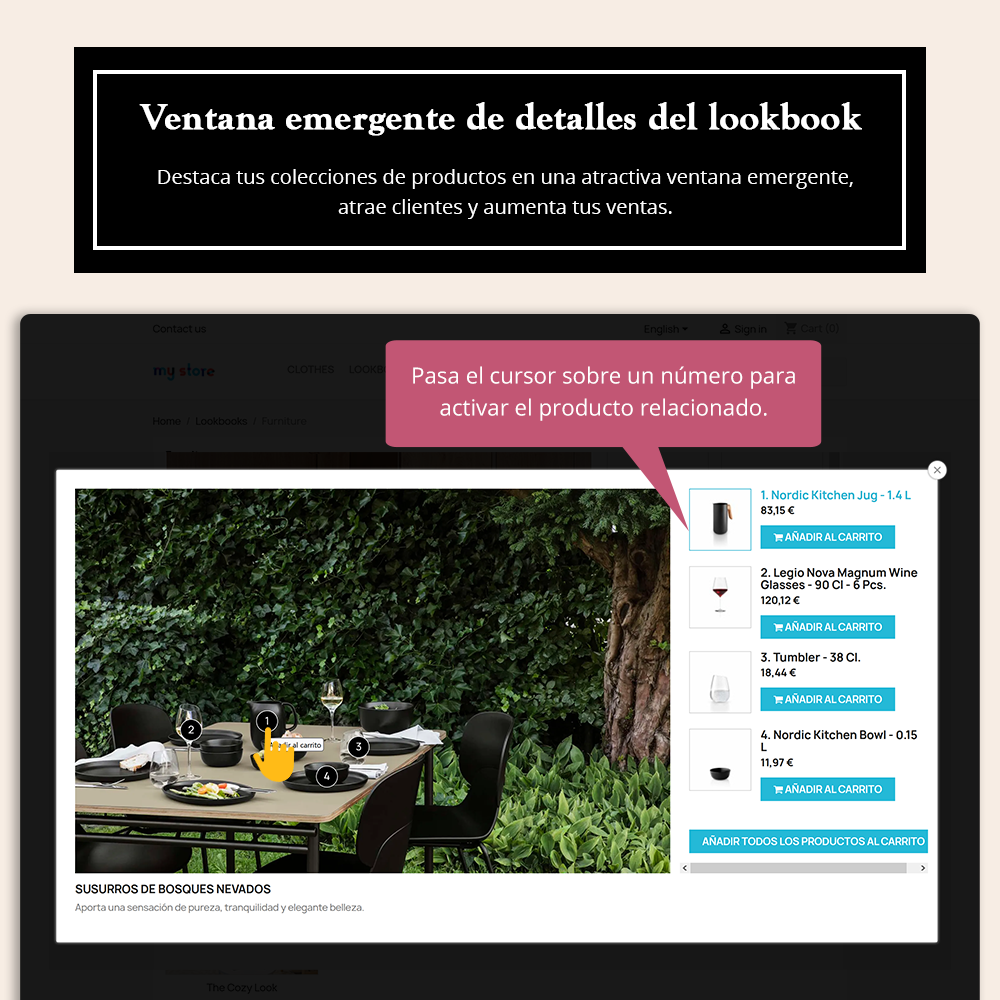 Lookbook detail popup