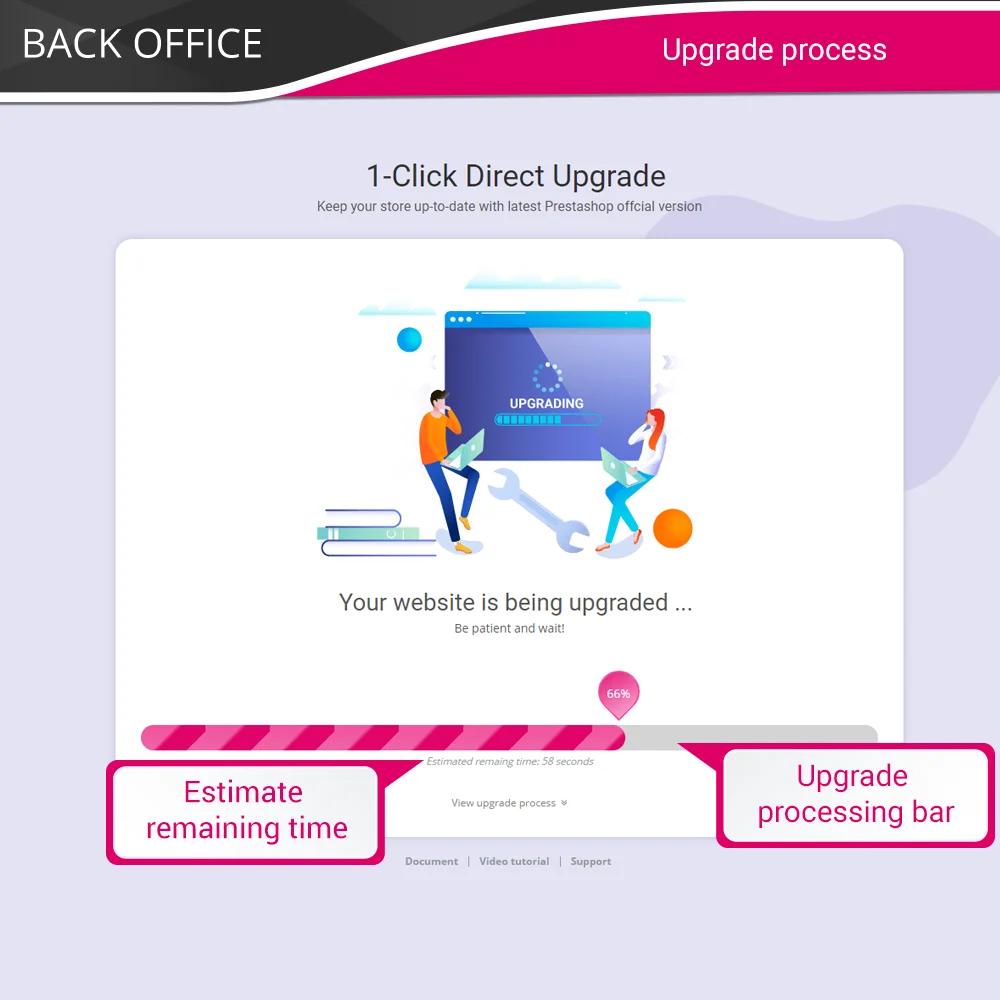 Upgrade process
