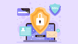 Website Upgrade & Security