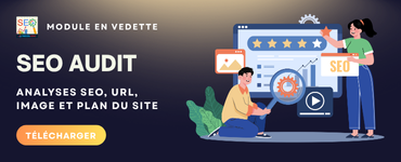Module d’optimisation SEO pour PrestaShop